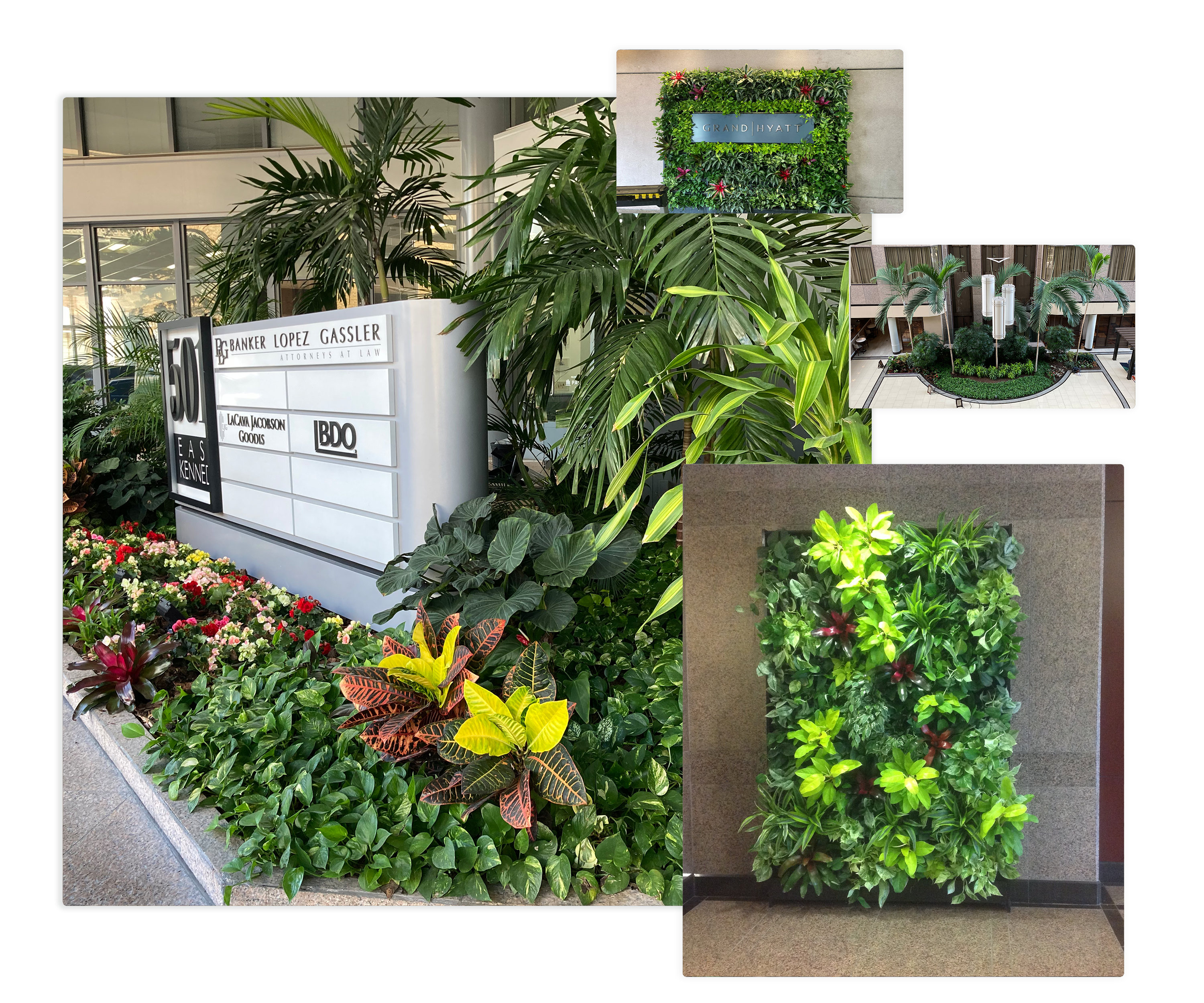 Sarasota digital marketing agency