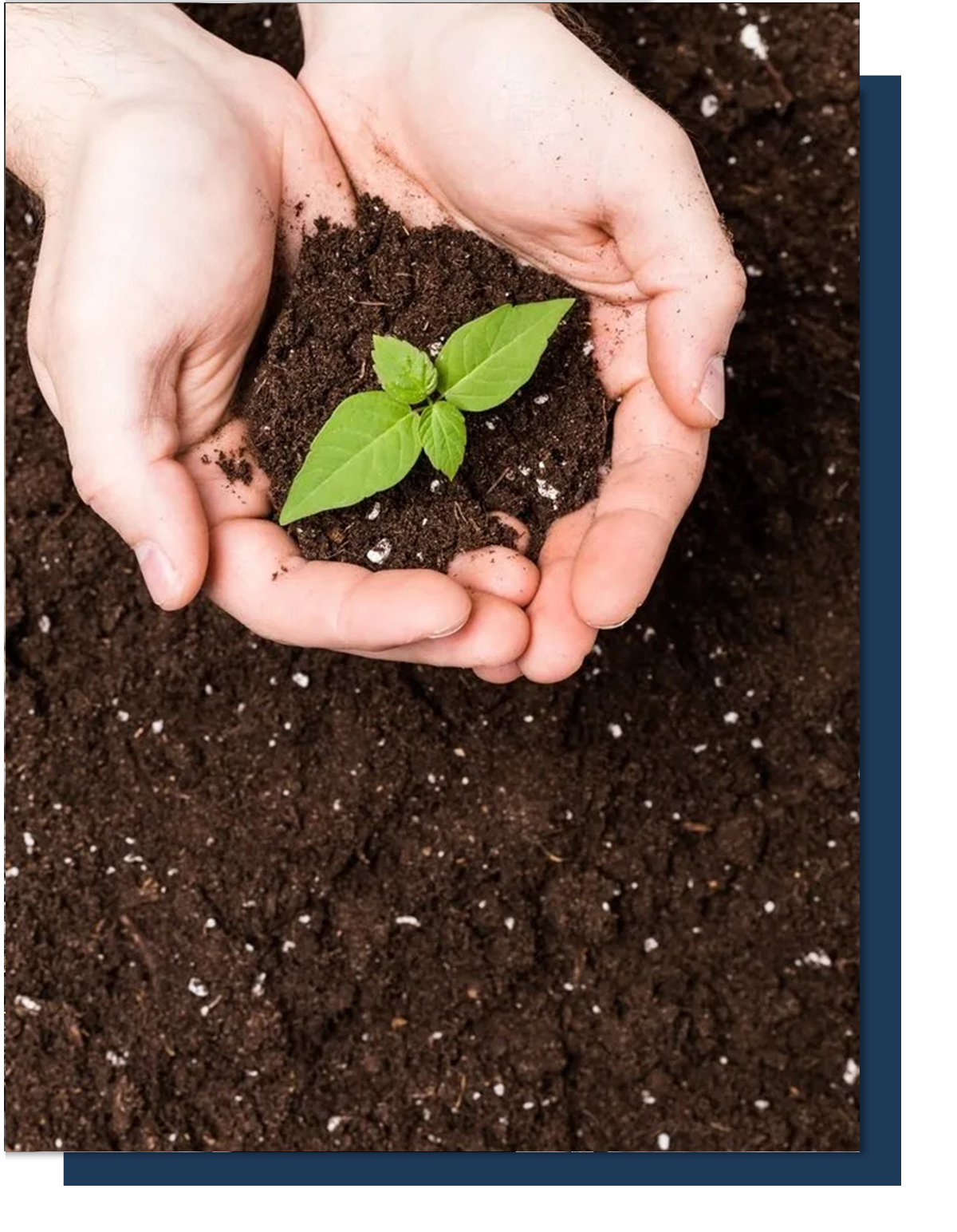 Sarasota digital marketing agency